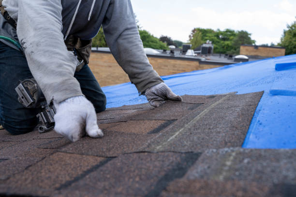 Best Flat Roof Repair Services  in North Merritt Island, FL