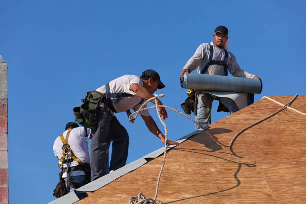 Best Roof Gutter Cleaning  in North Merritt Island, FL